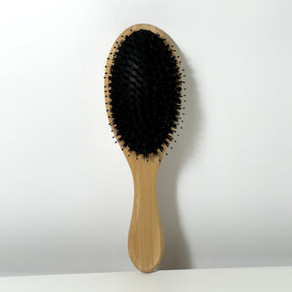 Special Hair Extension Brush